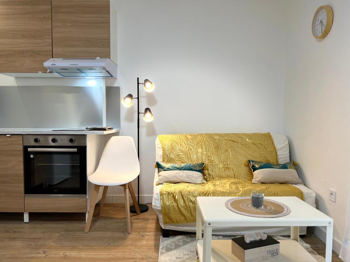 Appartement Cosy A Тулуза Екстер'єр фото